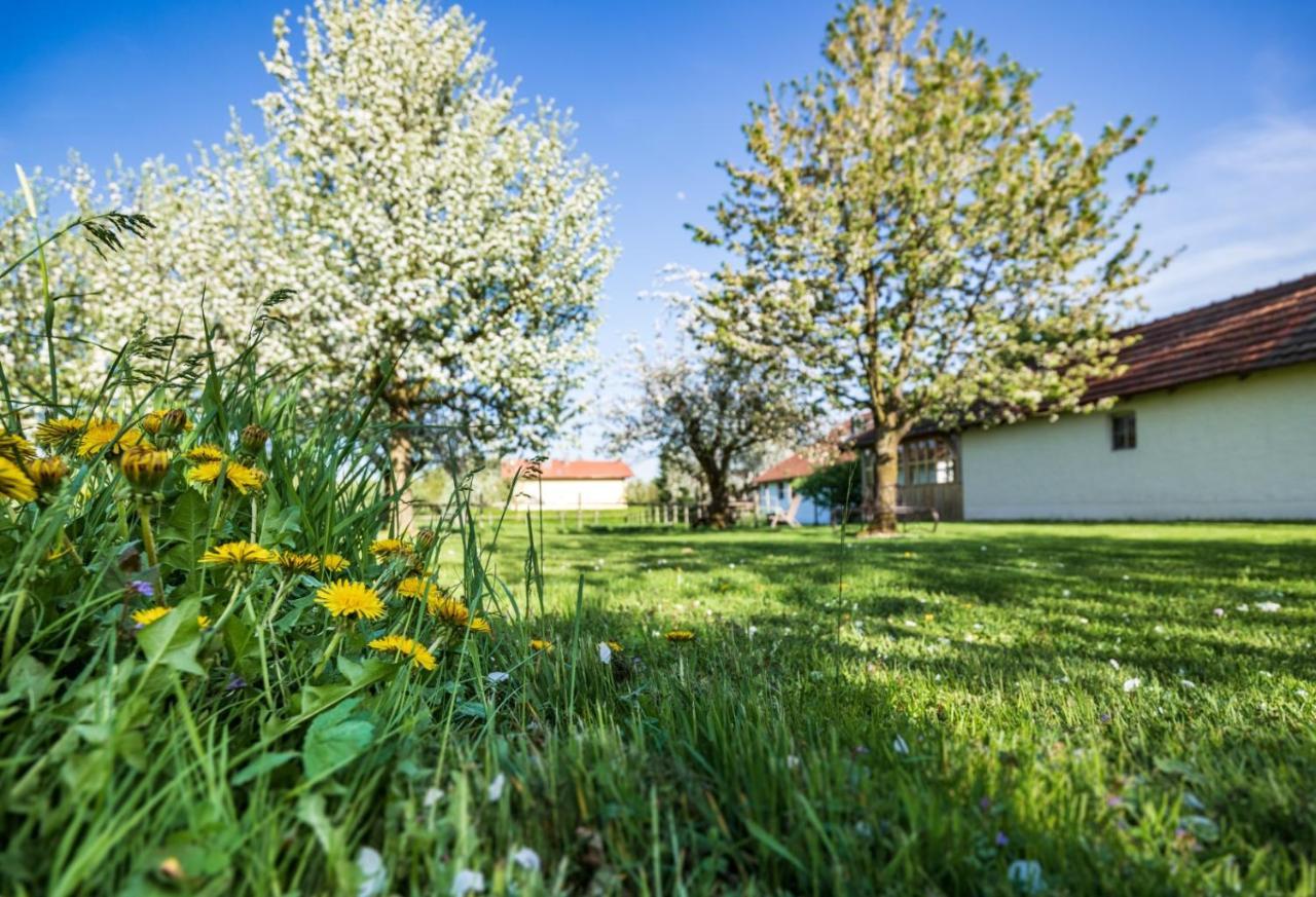 Landhaus Kreileder Bad Griesbach (Bavaria) Exterior foto